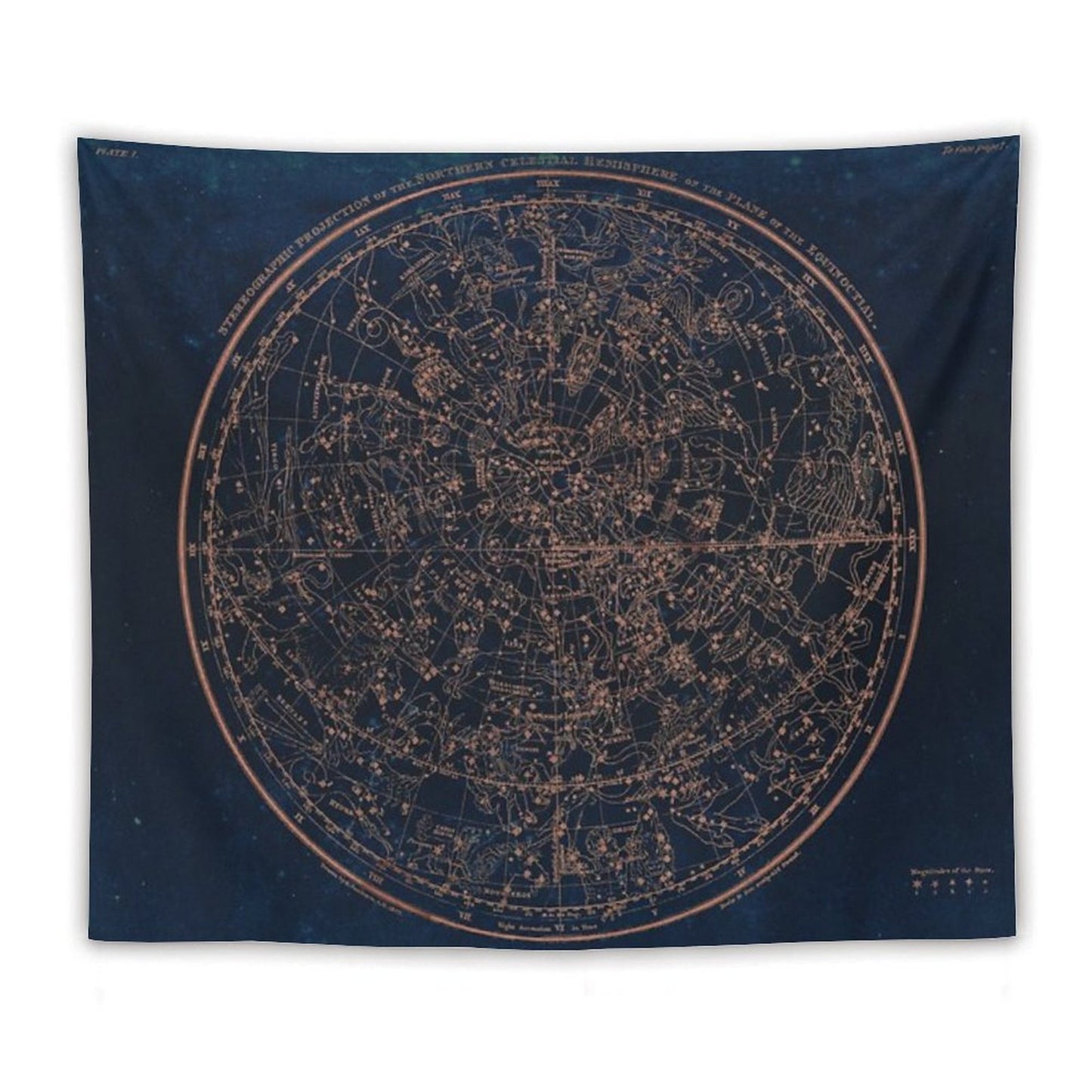 Constellations of The Northern Hemisphere Tapestry