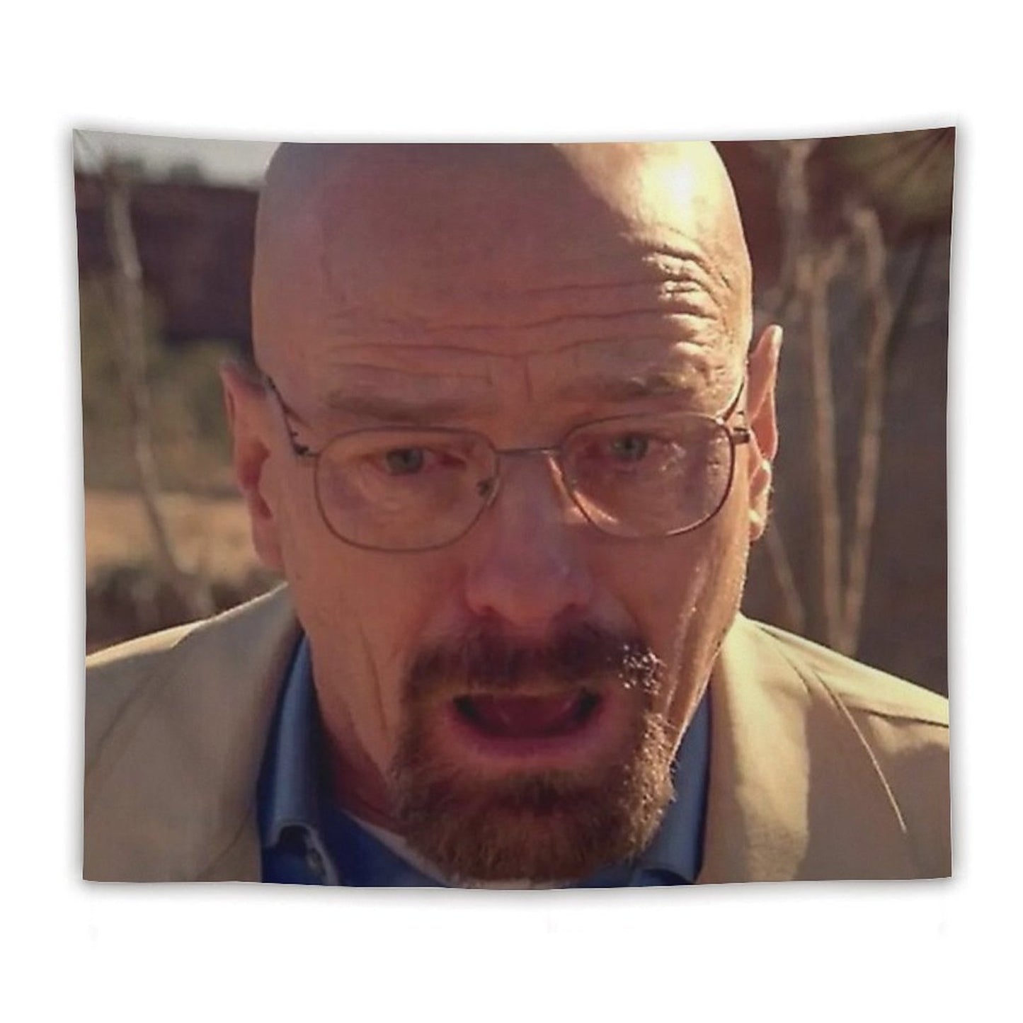 Walter White Meme Tapestry