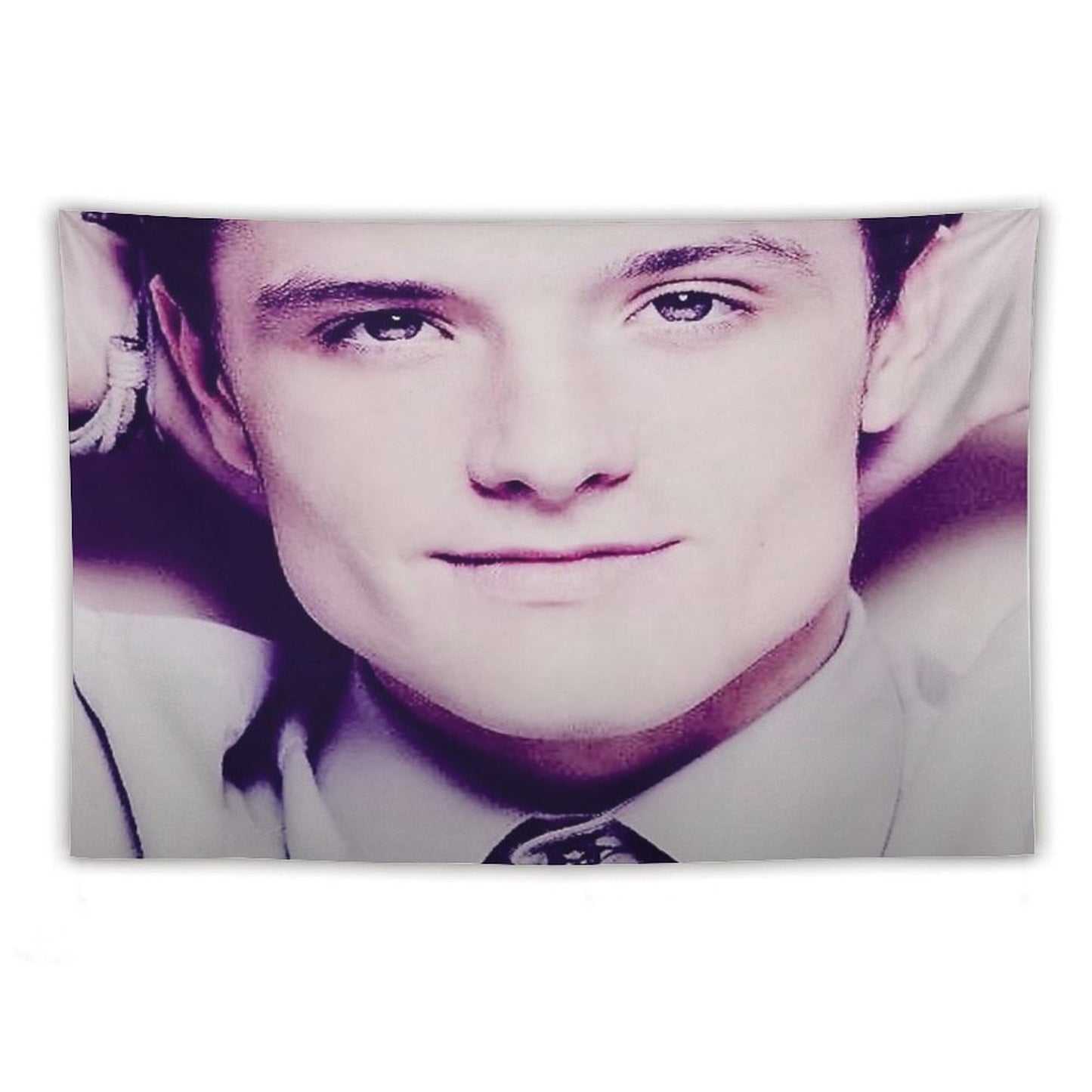 Josh Hutcherson. Tapestry