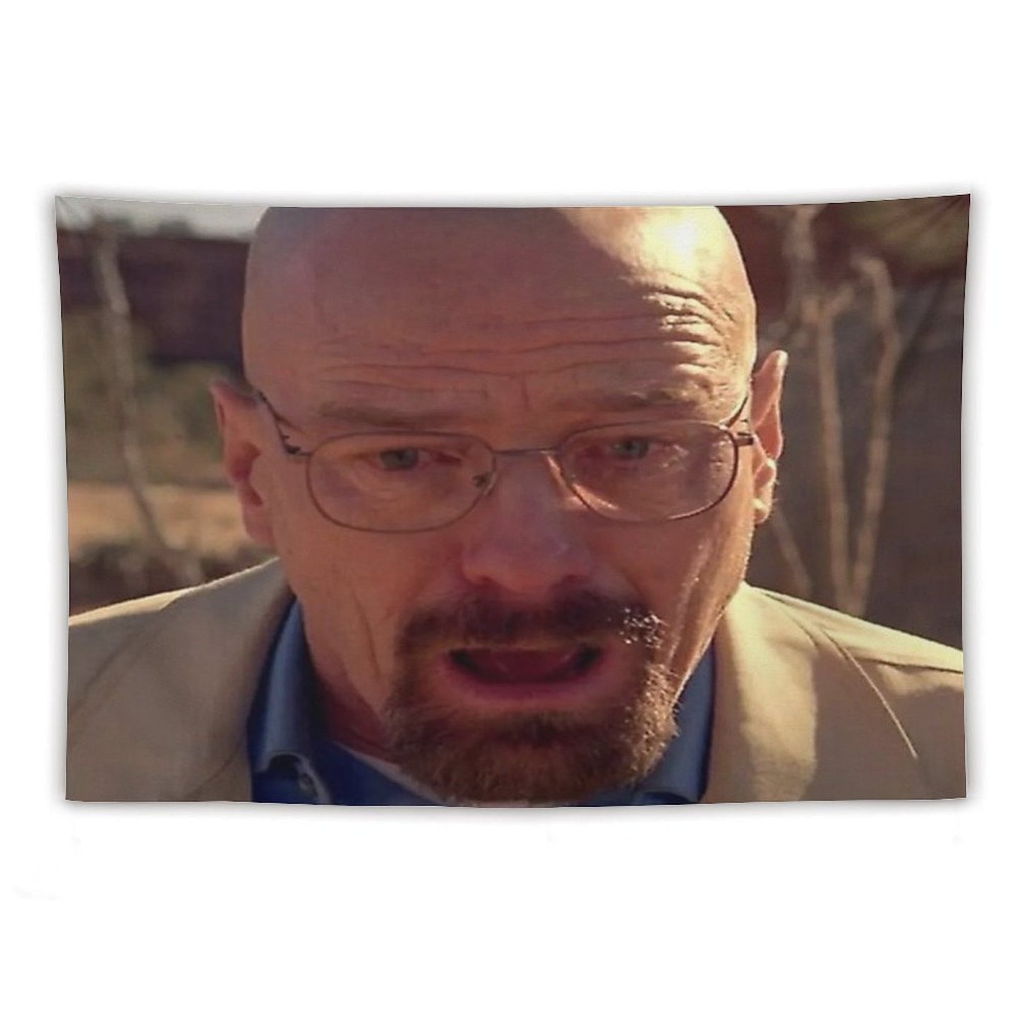 Walter White Meme Tapestry
