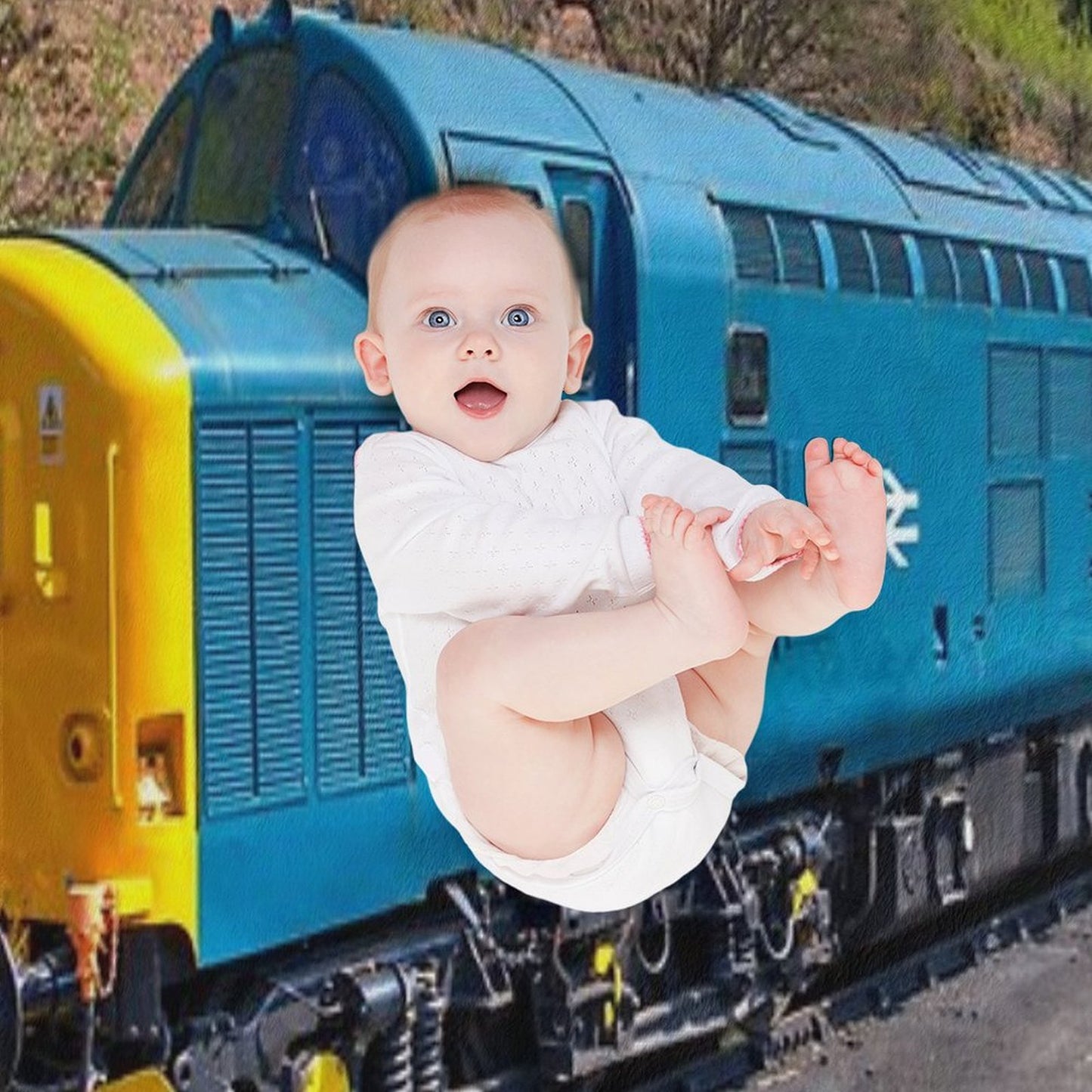 Class 37 at Bewdley Throw Blanket