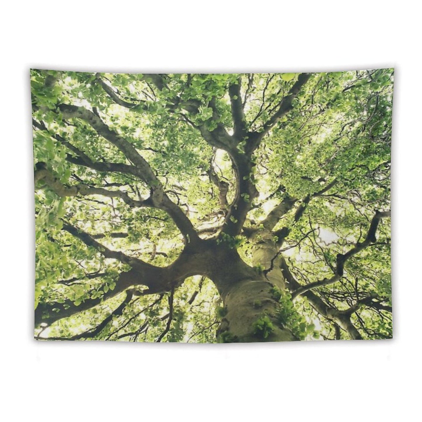 Under Your Skin Under Your Skin Summer Breeze In A Wilderness Fairytale Forest With A Tree Covered In Magic Sunlight Tapestry