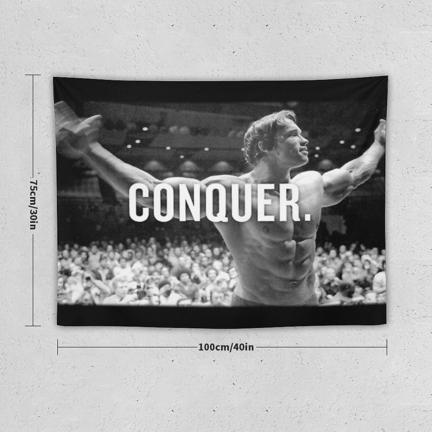Arnold Schwarzenegger Conquer Tapestry
