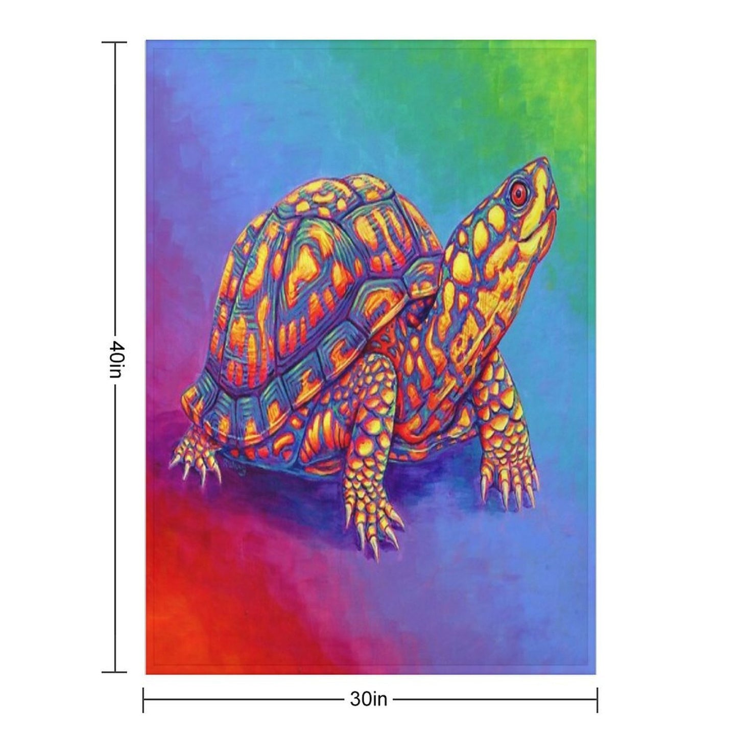 Rainbow Eastern Box Turtle Throw Blanket