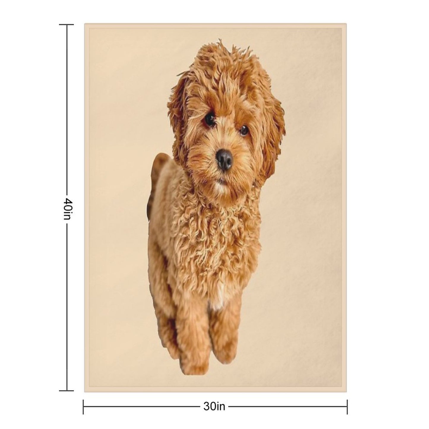 Cavapoo Throw Blanket