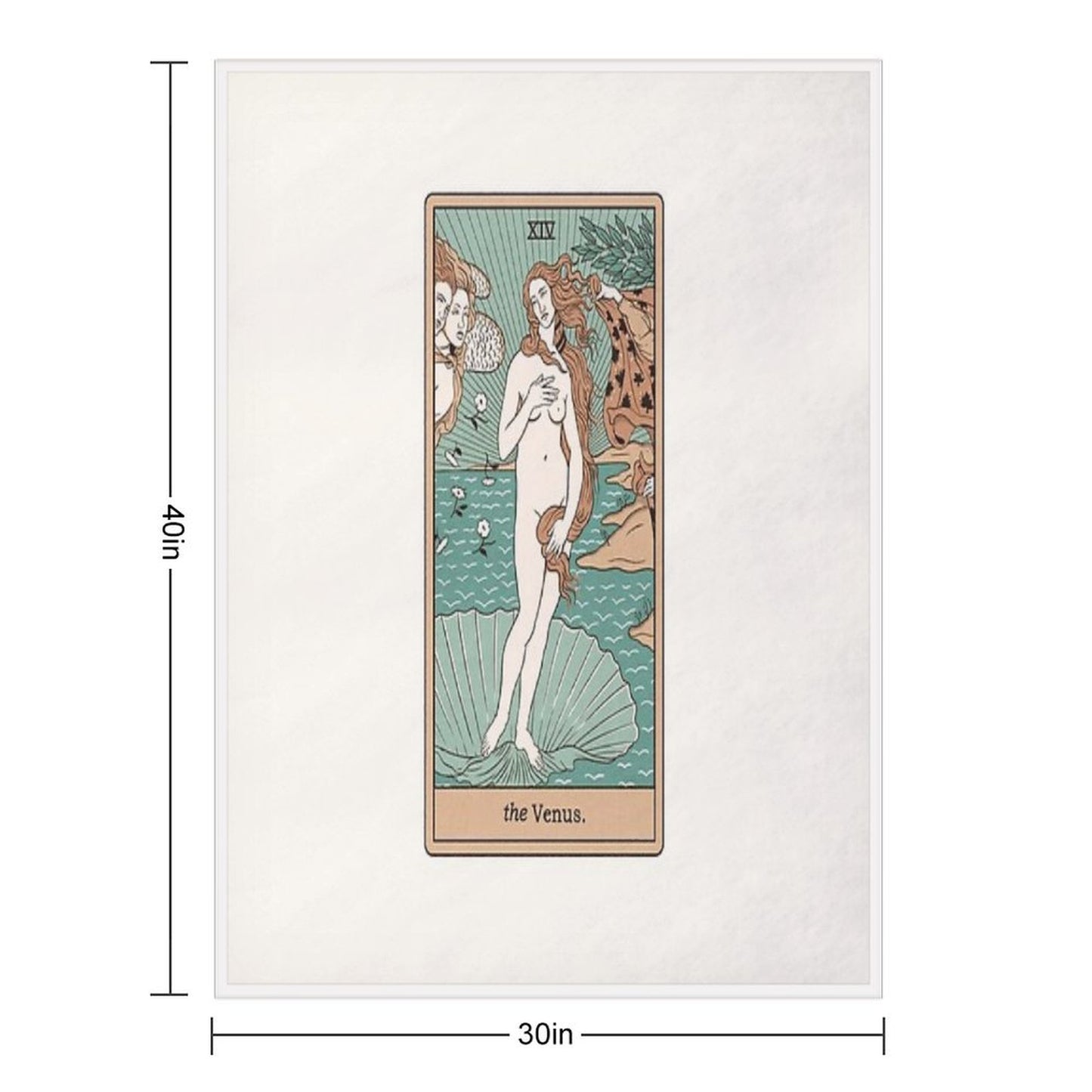 The Venus Throw Blanket
