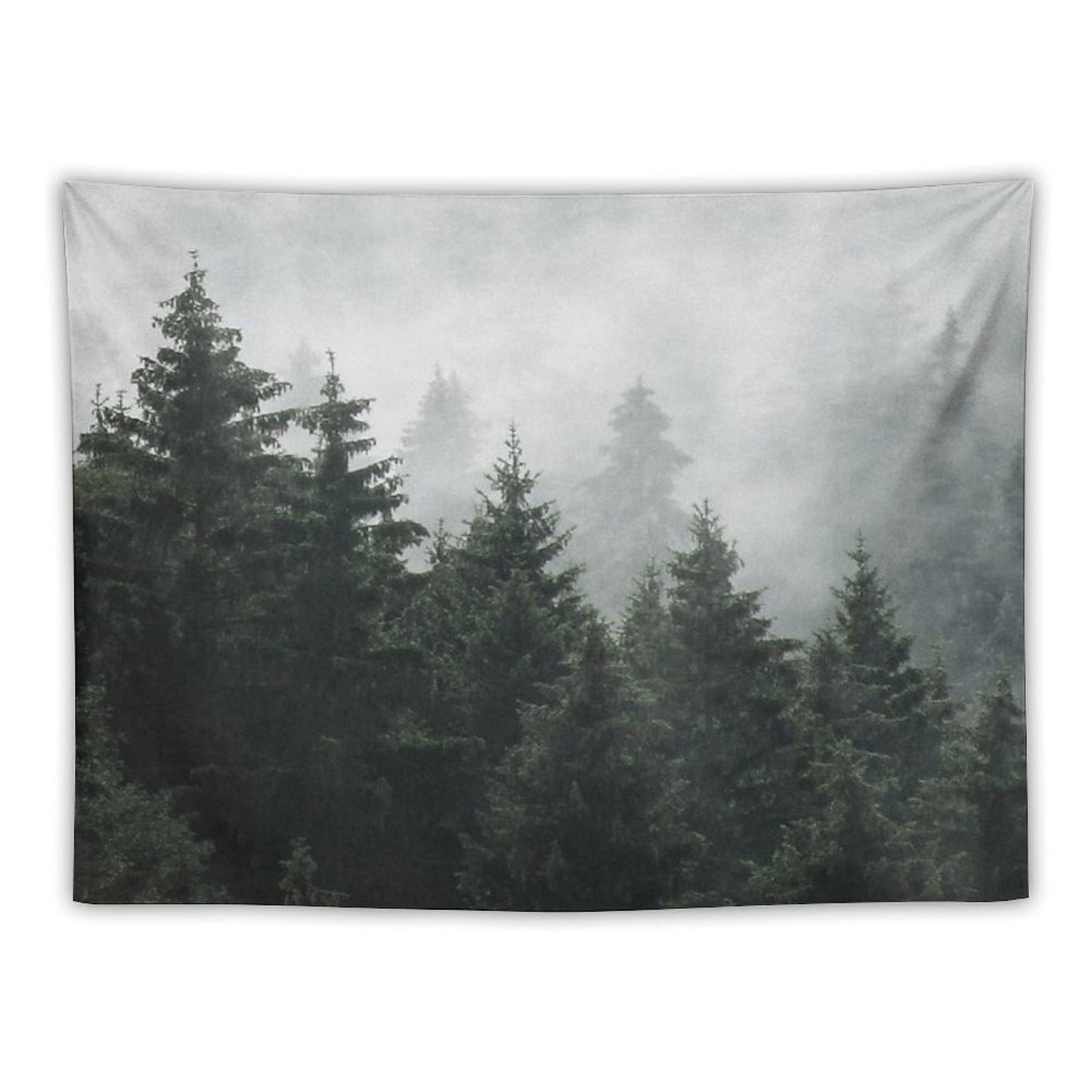 Waiting For Misty Foggy Fairytale Forest With Cascadia Trees Covered In Magic Fog Tapestry
