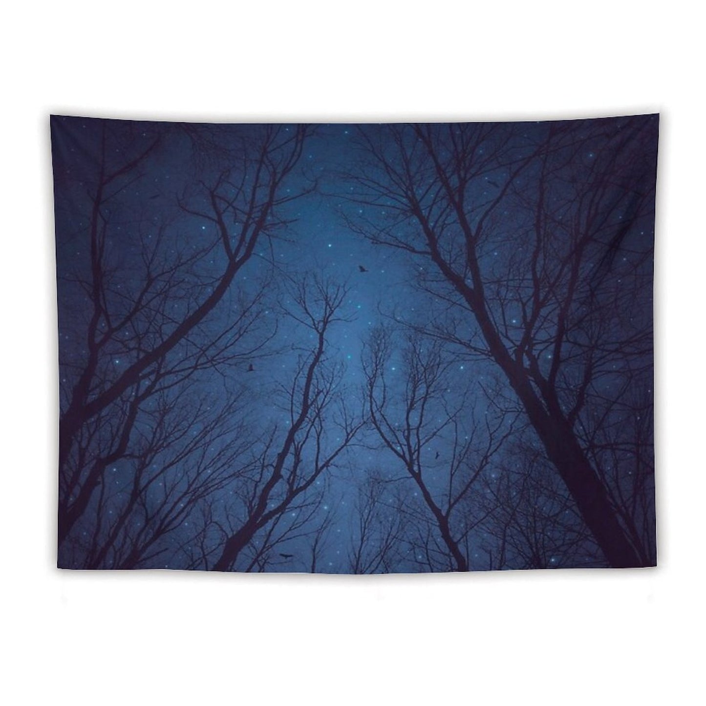 I Have Loved The Stars Too Fondly Tapestry