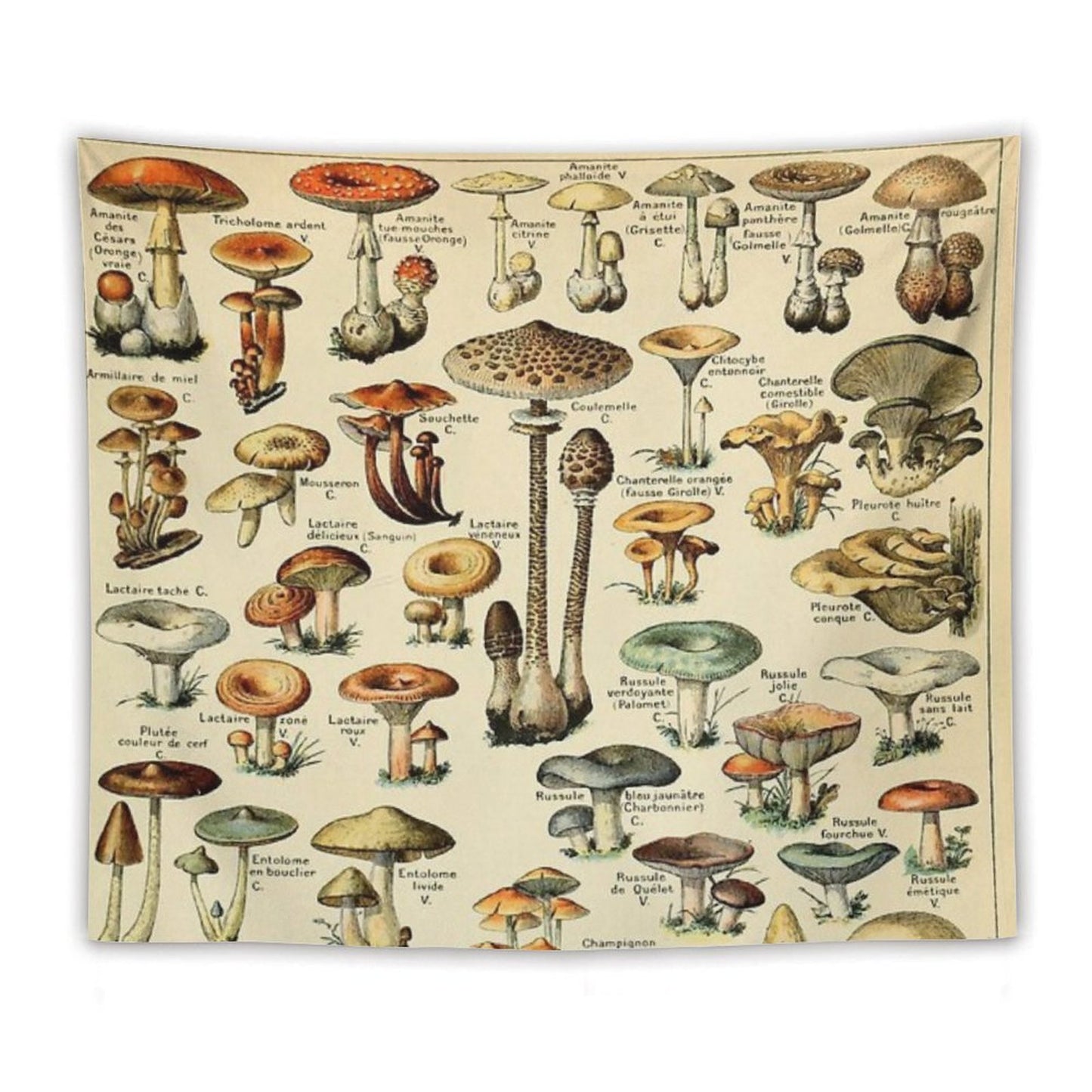 Mushrooms Tapestry