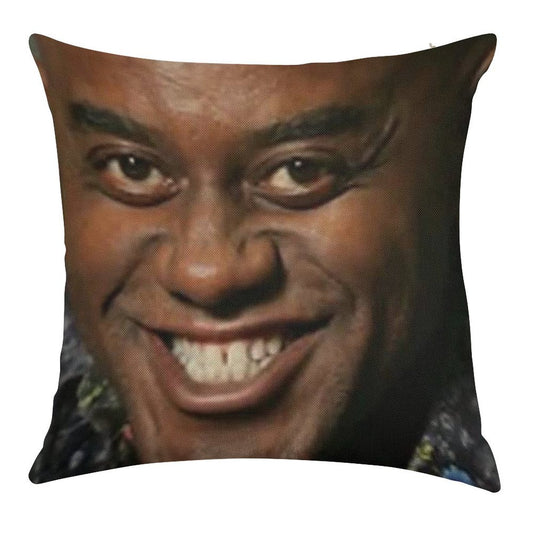 Ainsley Harriott Linen Throw Pillow Cover