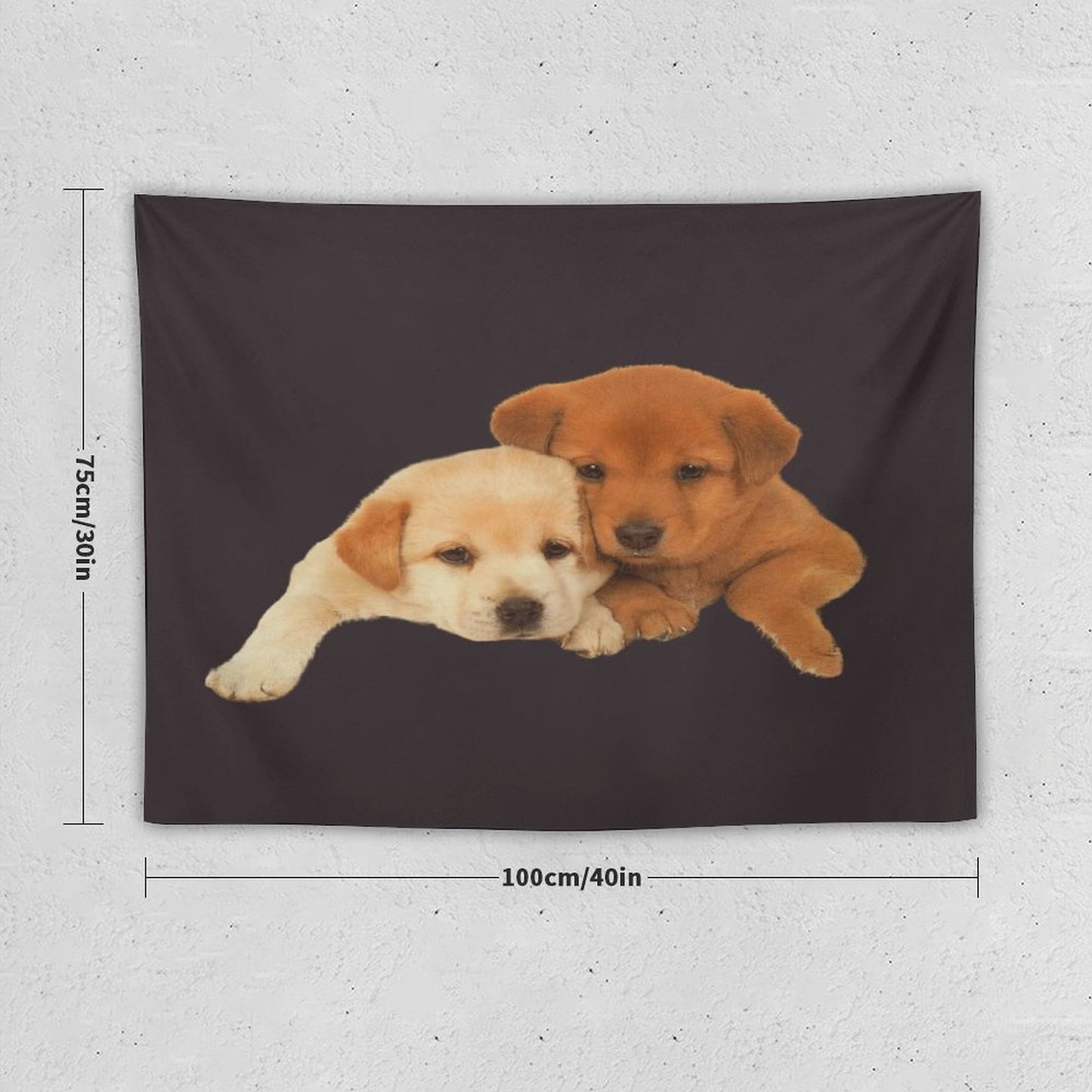 Drake - FOR ALL THE DOGS Tapestry