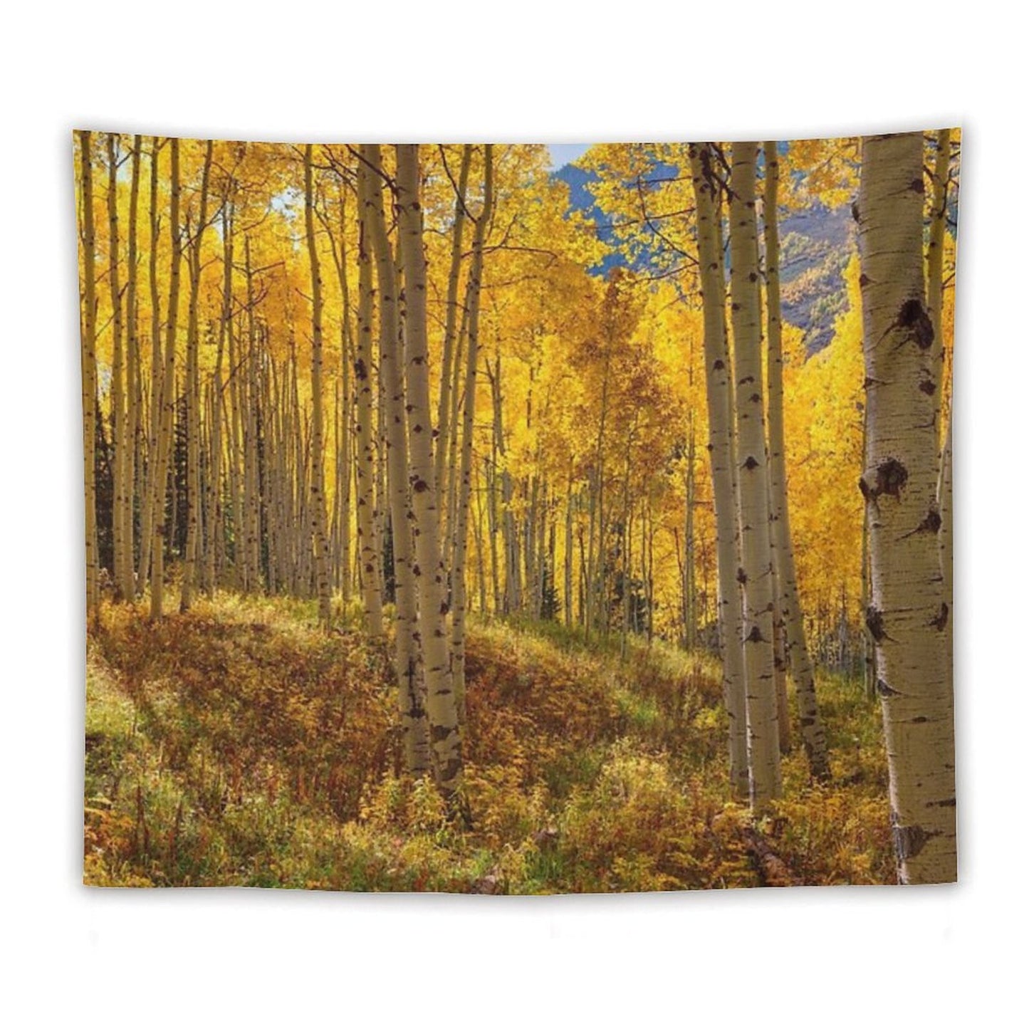 Autumn Aspen Forest Aspen Colorado Panorama Tapestry
