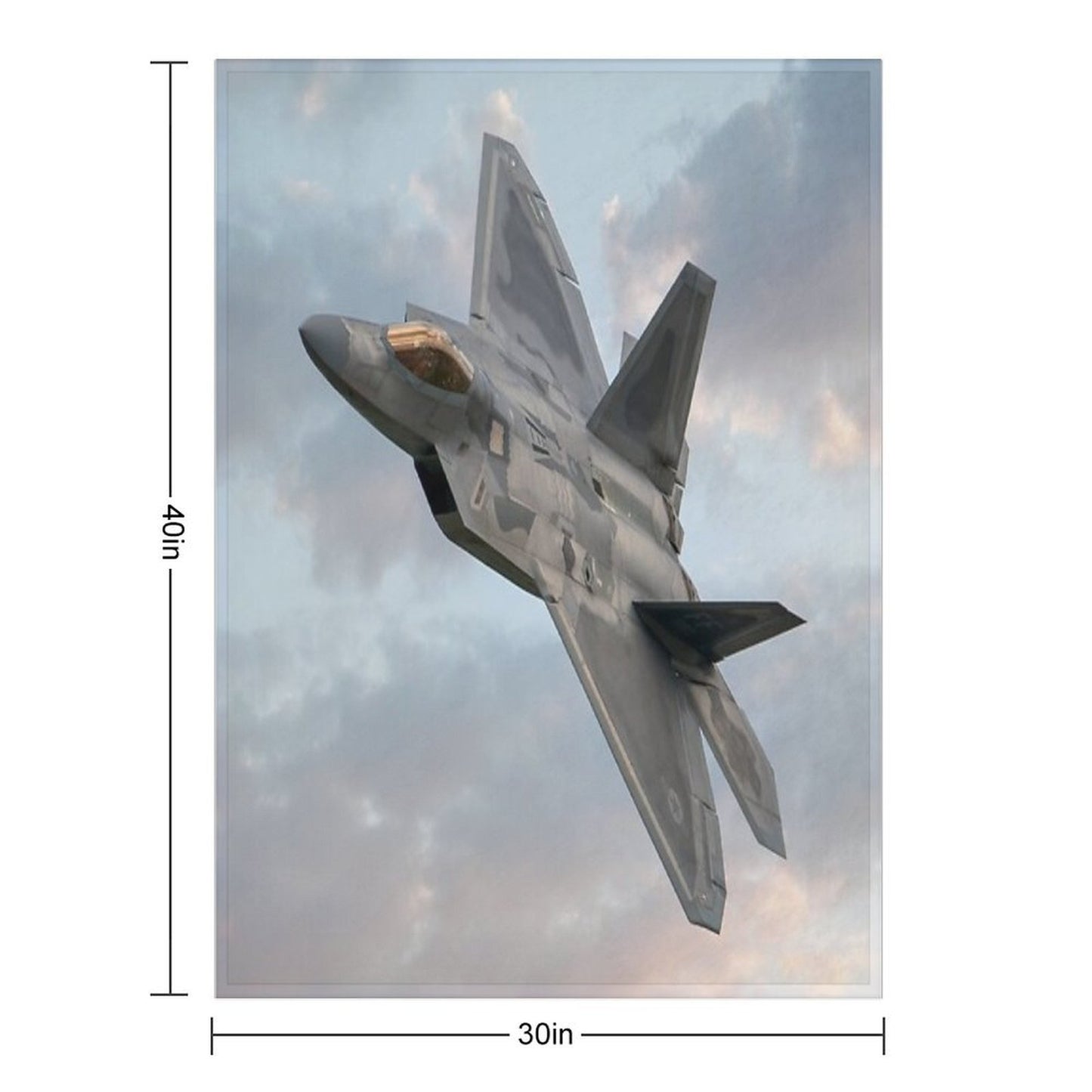 F22 Raptor Throw Blanket