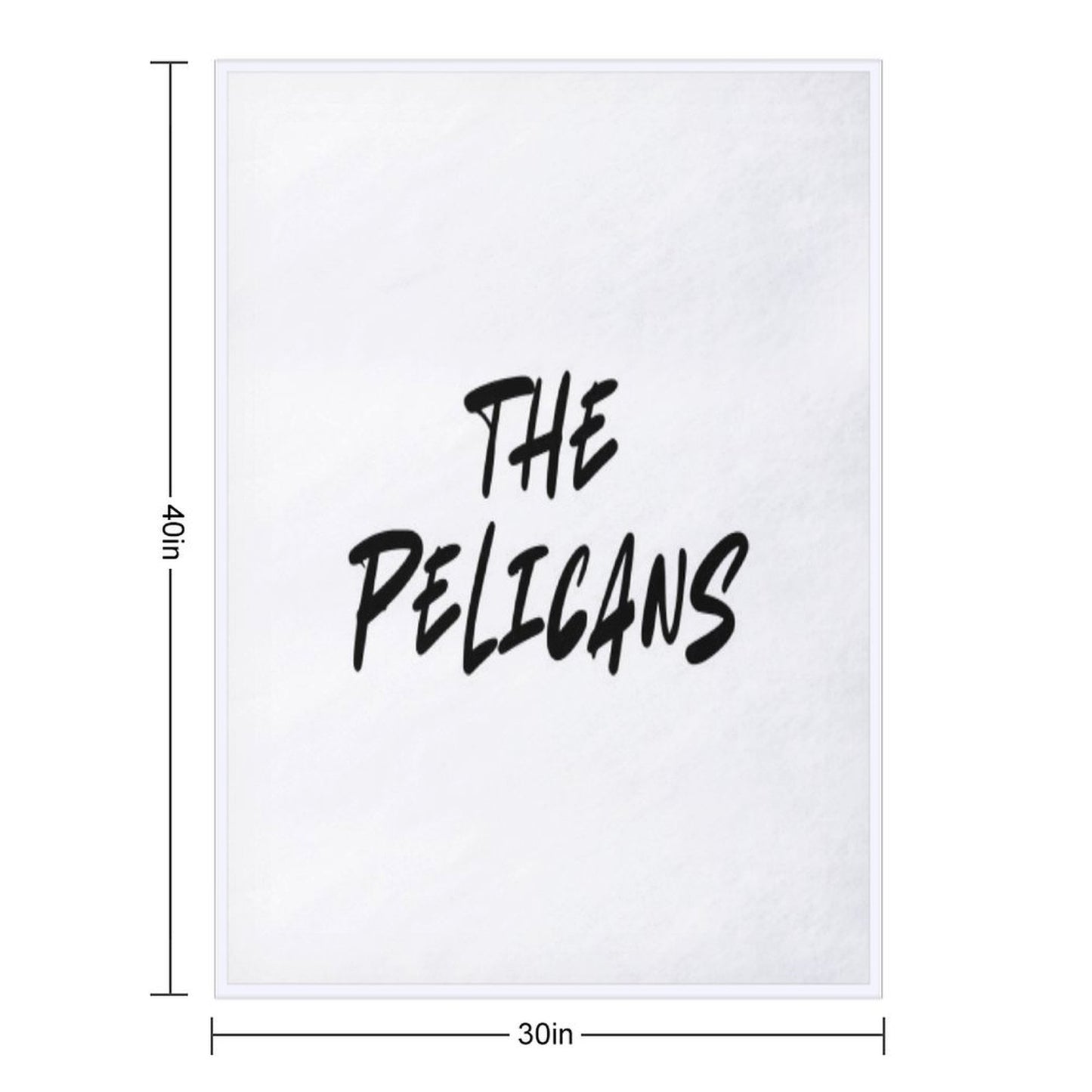 The Pelicans Throw Blanket