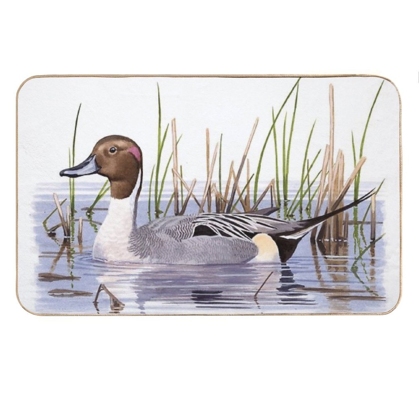 Northern Pintail Bath Mat