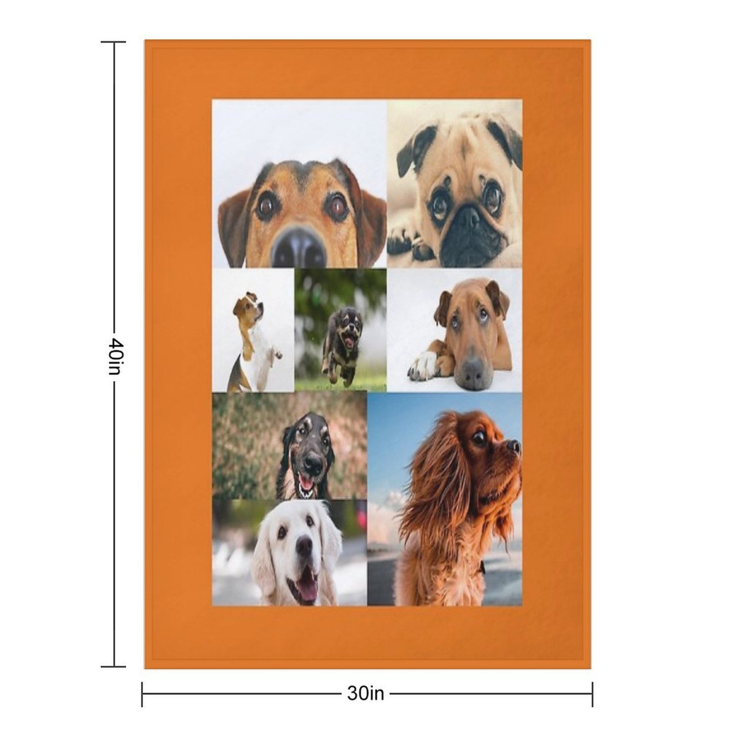 Online Dog Meeting Throw Blanket