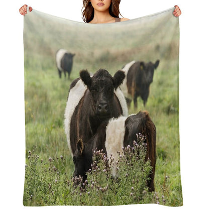 Belted Galloway Cows Throw Blanket