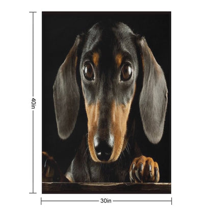 Dachshund Dog Photo Portrait Throw Blanket