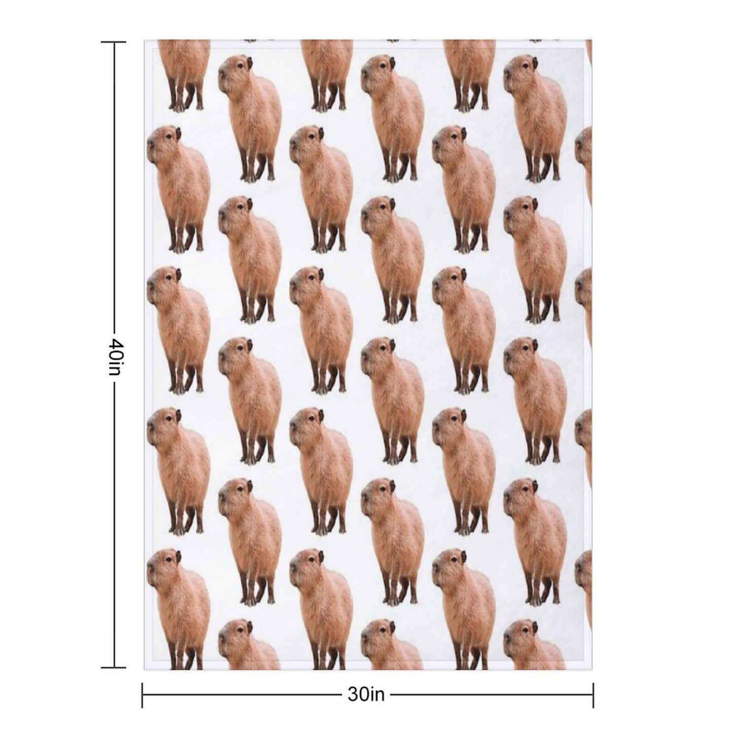 Cute Capybara Throw Blanket