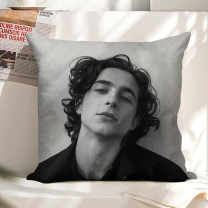 Chalamet Linen Throw Pillow Cover