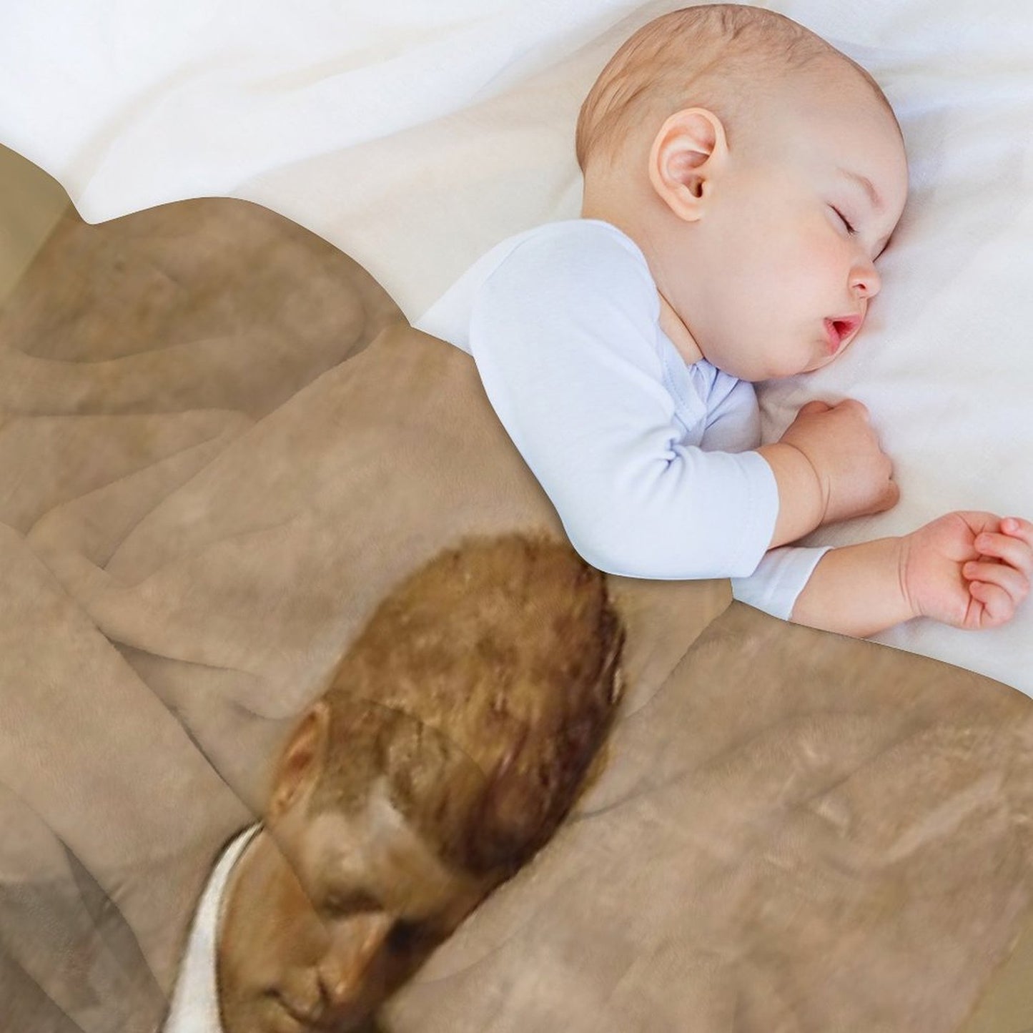 John F Kennedy Official Portrait by Aaron Shikler Throw Blanket