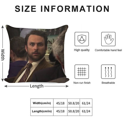 ASIP Soft Hidden Zipper Throw Pillow