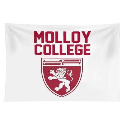 Molloy College Tapestry