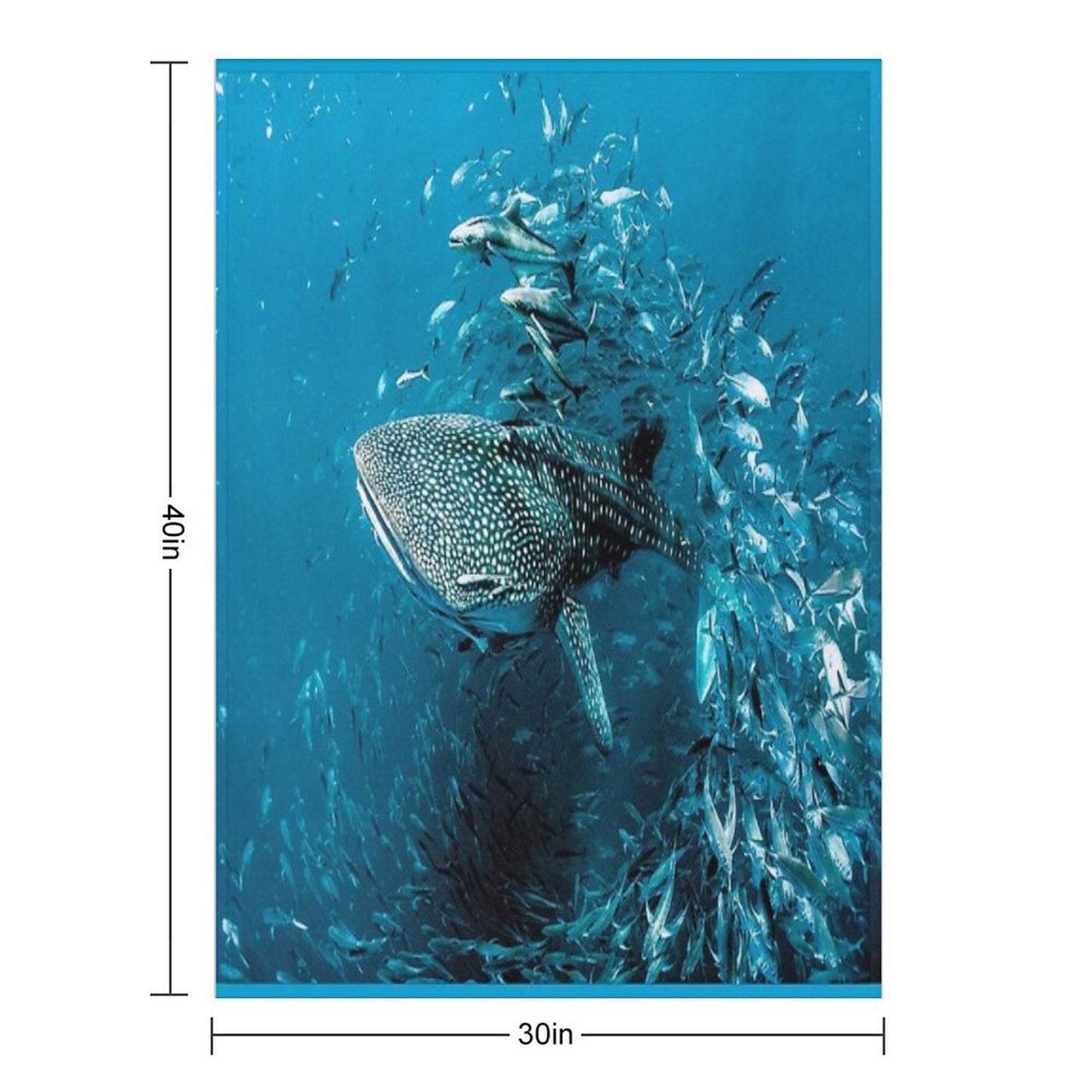 Whale Shark Award Winning Photo Throw Blanket