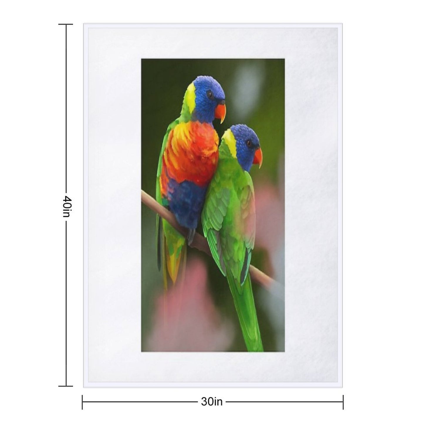 Rainbow Lorikeets Throw Blanket