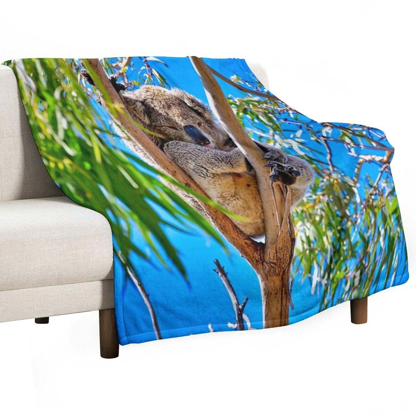 Lovely Australian Koala Bear Throw Blanket