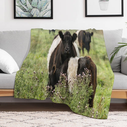 Belted Galloway Cows Throw Blanket