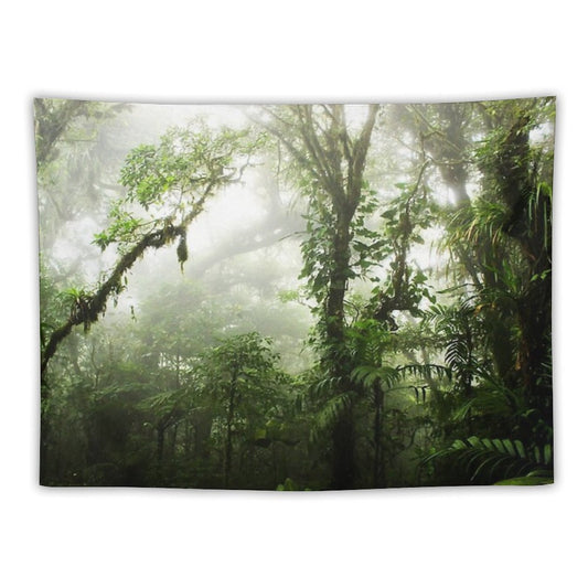 Cloud Forest Tapestry