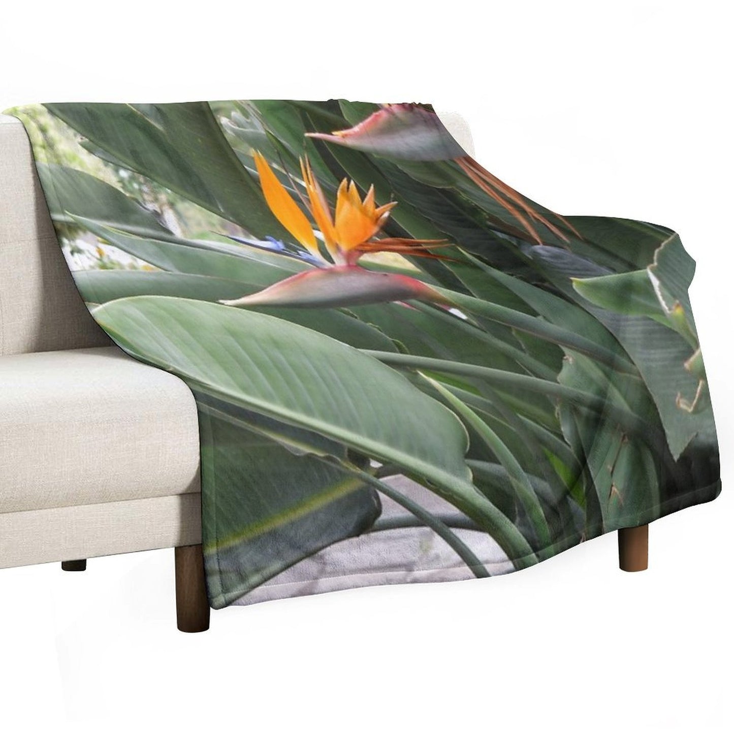 A Beautiful Bird of Paradise Flower from Madeira Throw Blanket