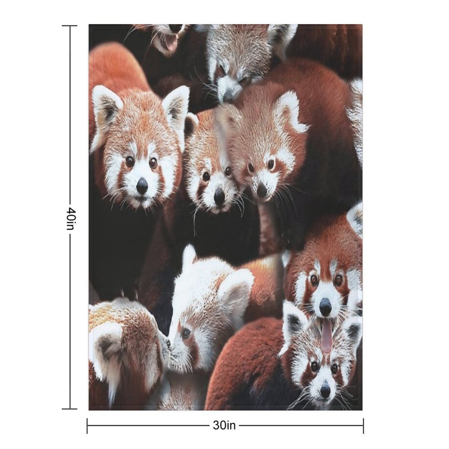 Red Pandas Throw Blanket