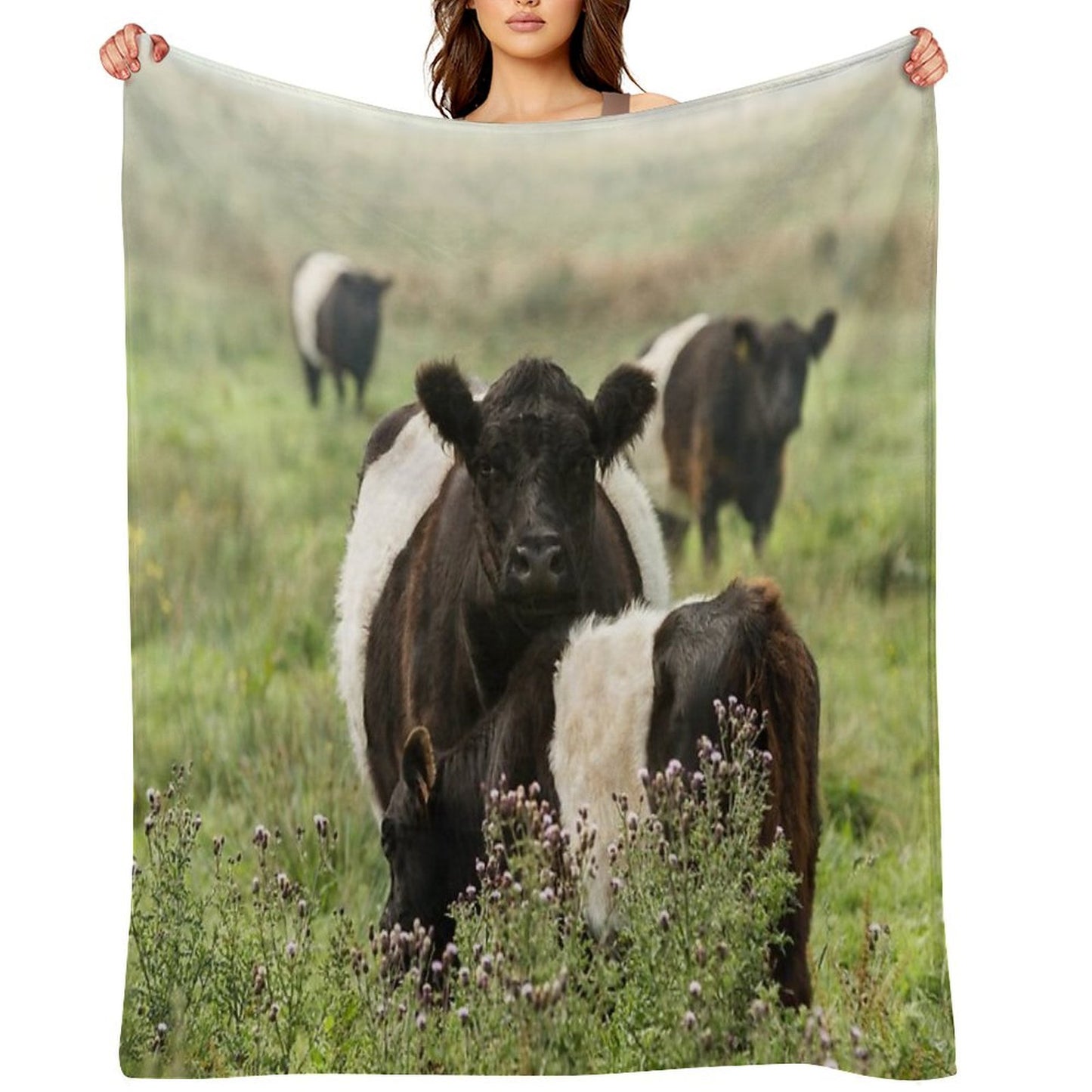 Belted Galloway Cows Throw Blanket