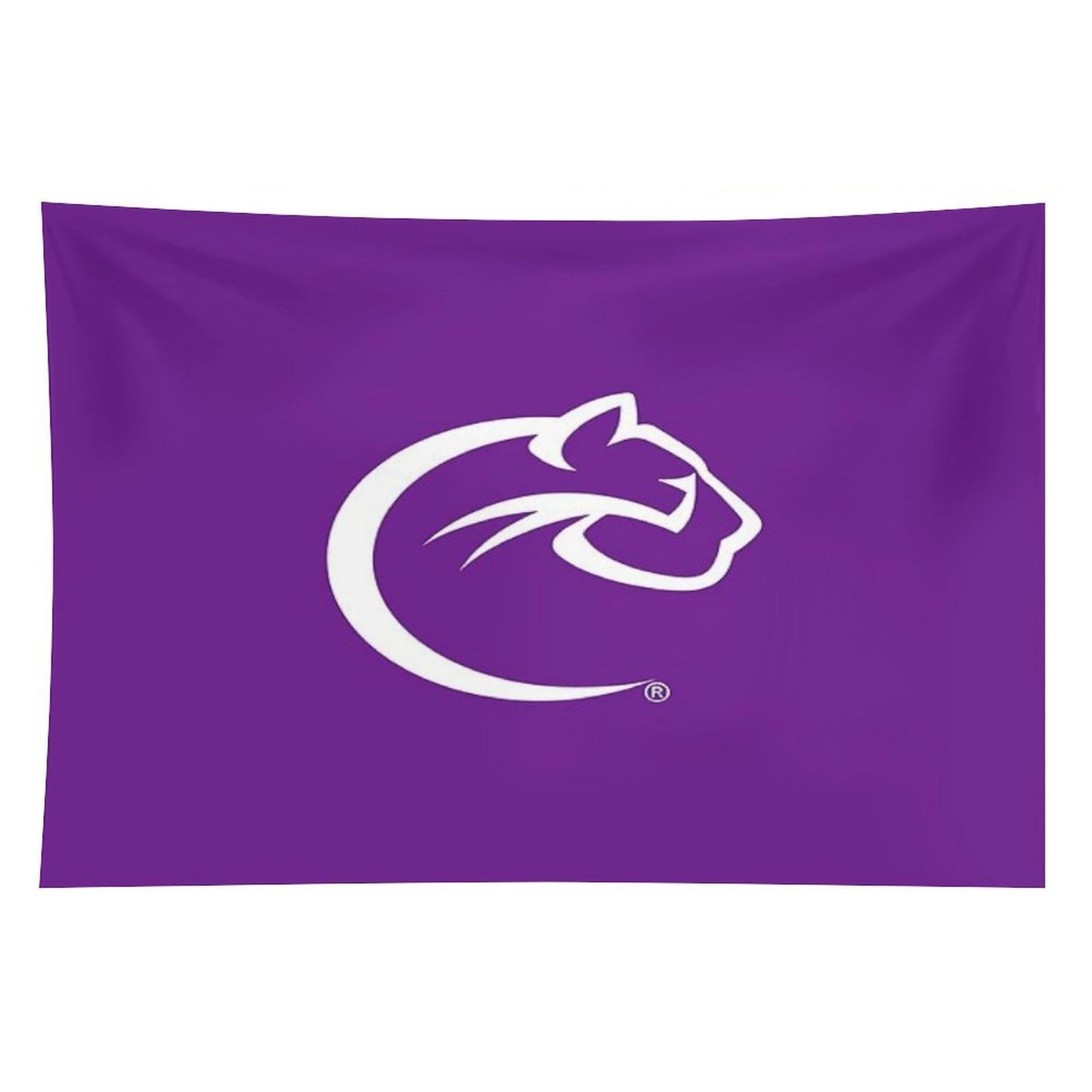 Cougars Pittspurbh Chatham Tapestry