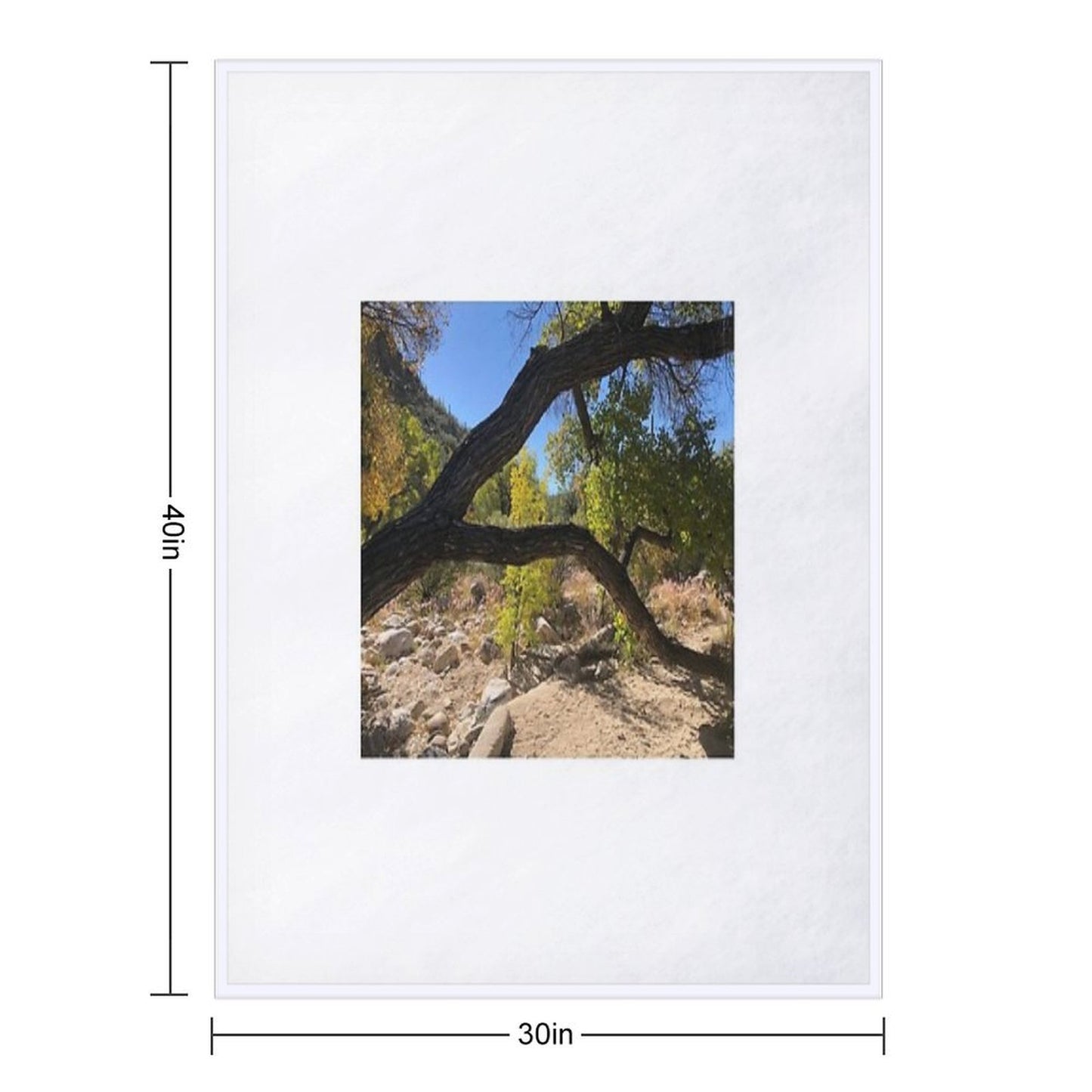 Looking Though A Branch Throw Blanket