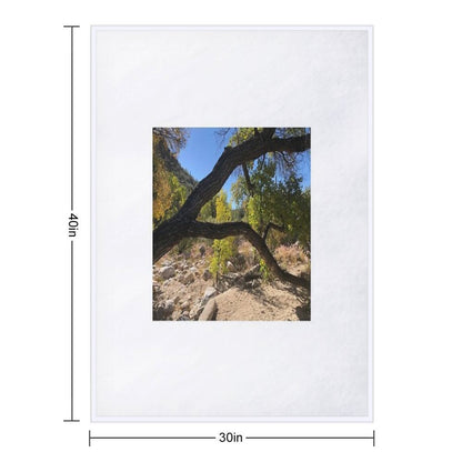 Looking Though A Branch Throw Blanket