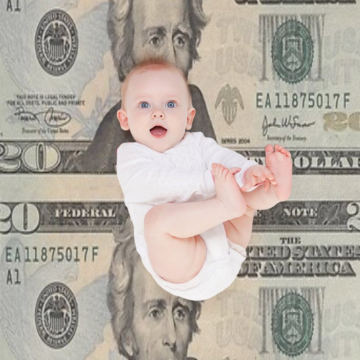 United States Twenty-dollar Bill - Andrew Jackson Throw Blanket