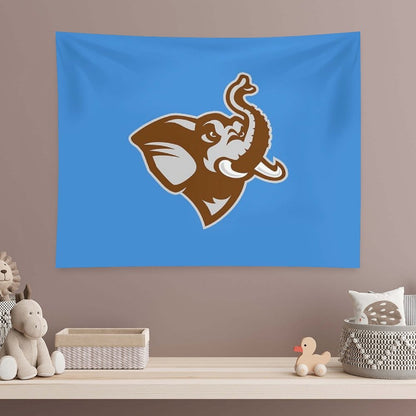 Tufts University Tapestry