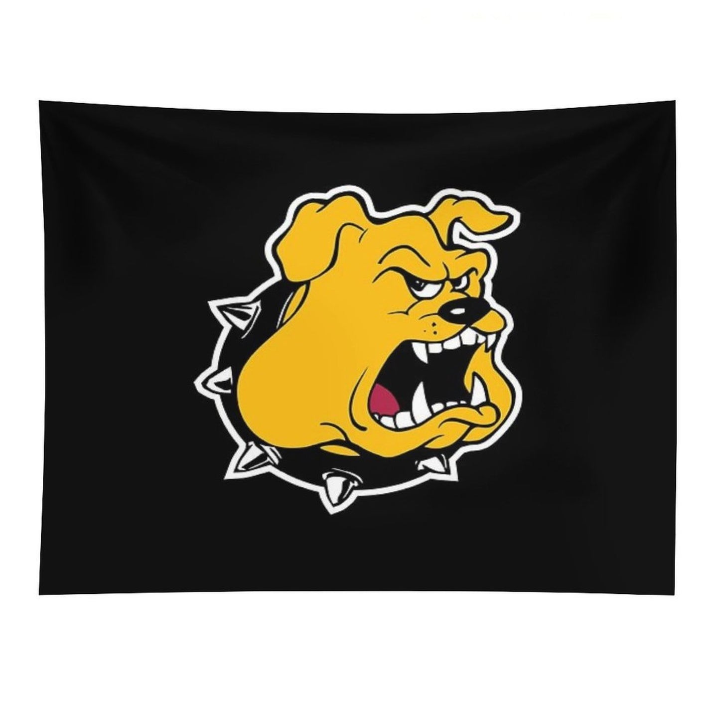 Texas Lutheran University Tapestry