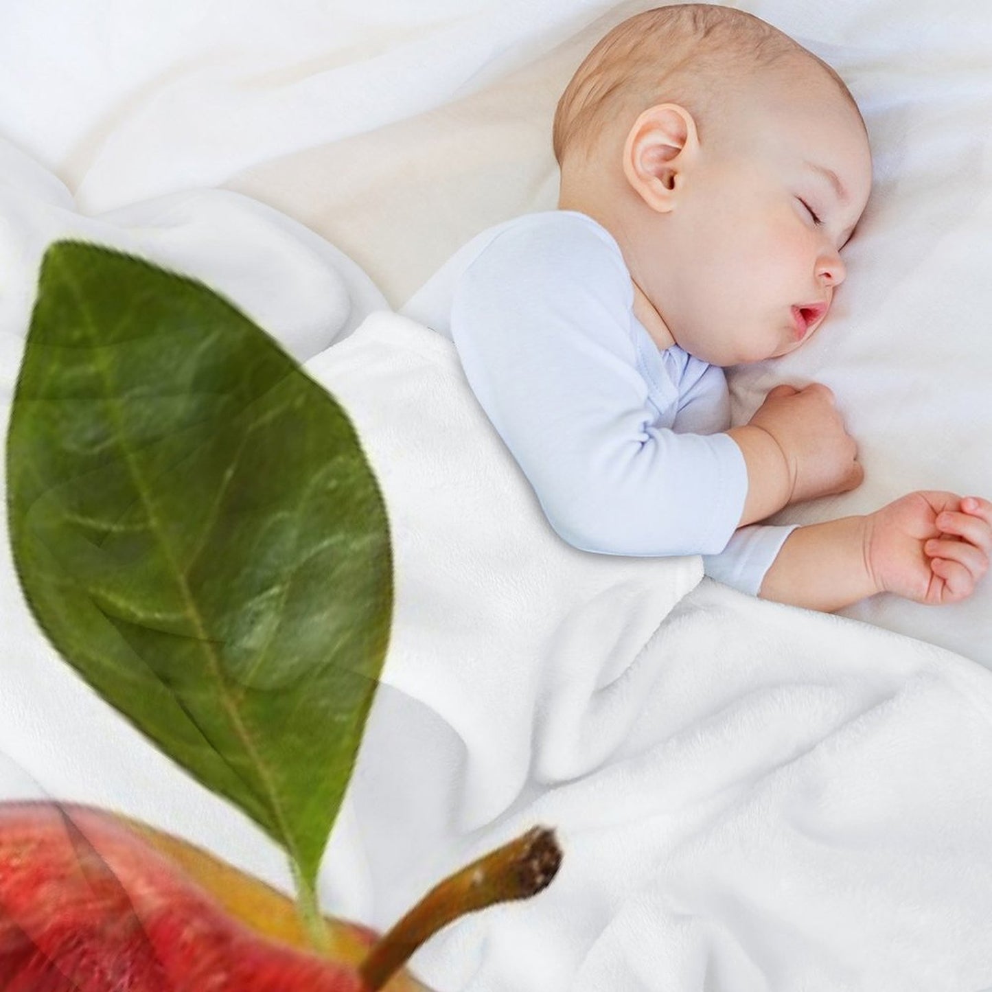 Jongho Apple Throw Blanket