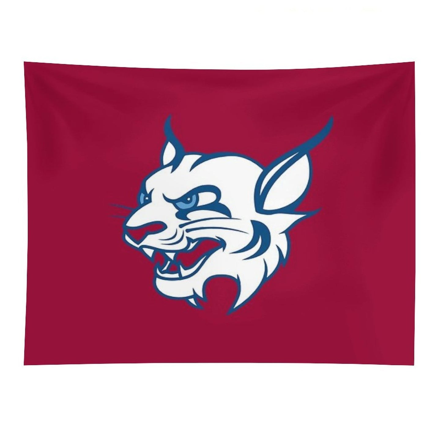 St. Thomas University Tapestry