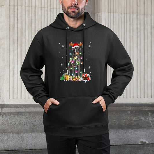 Great Dane Christmas Santa Hat Fairy Lights Pajama Dog Lover Men Women Kids Relaxed Fit Hoodie