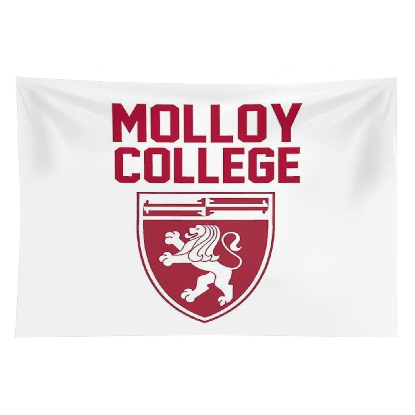 Molloy College Tapestry
