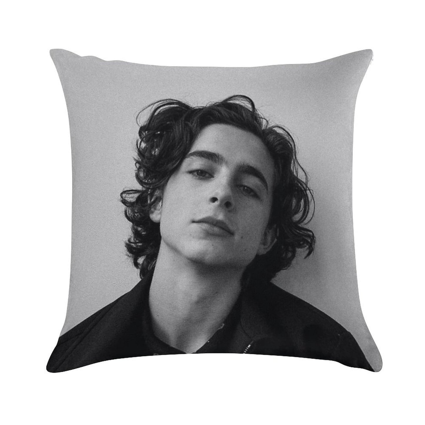 Chalamet Soft High-Density Material Throw Pillow