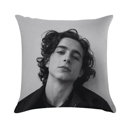 Chalamet Soft High-Density Material Throw Pillow