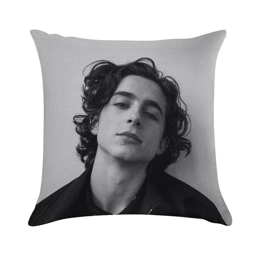Chalamet Soft High-Density Material Throw Pillow