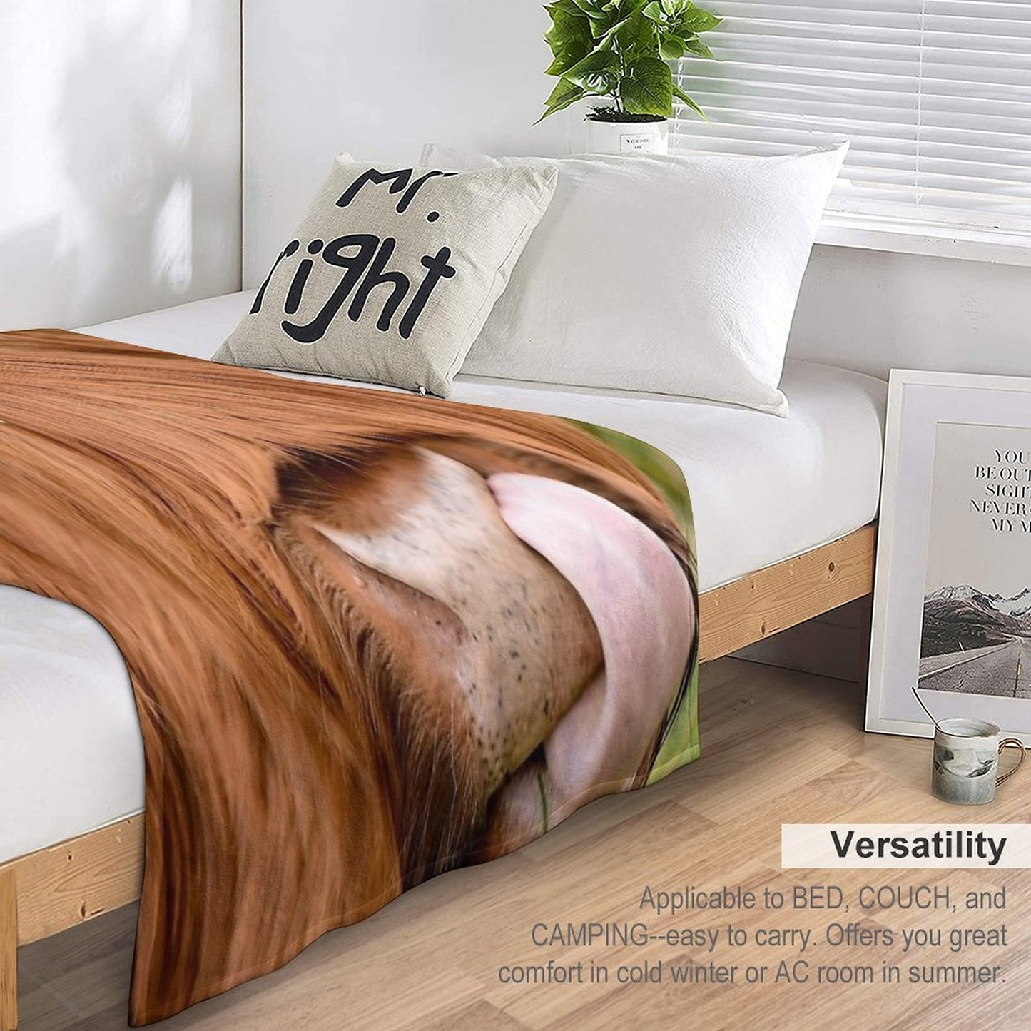Tasty, The Highland Cow Throw Blanket