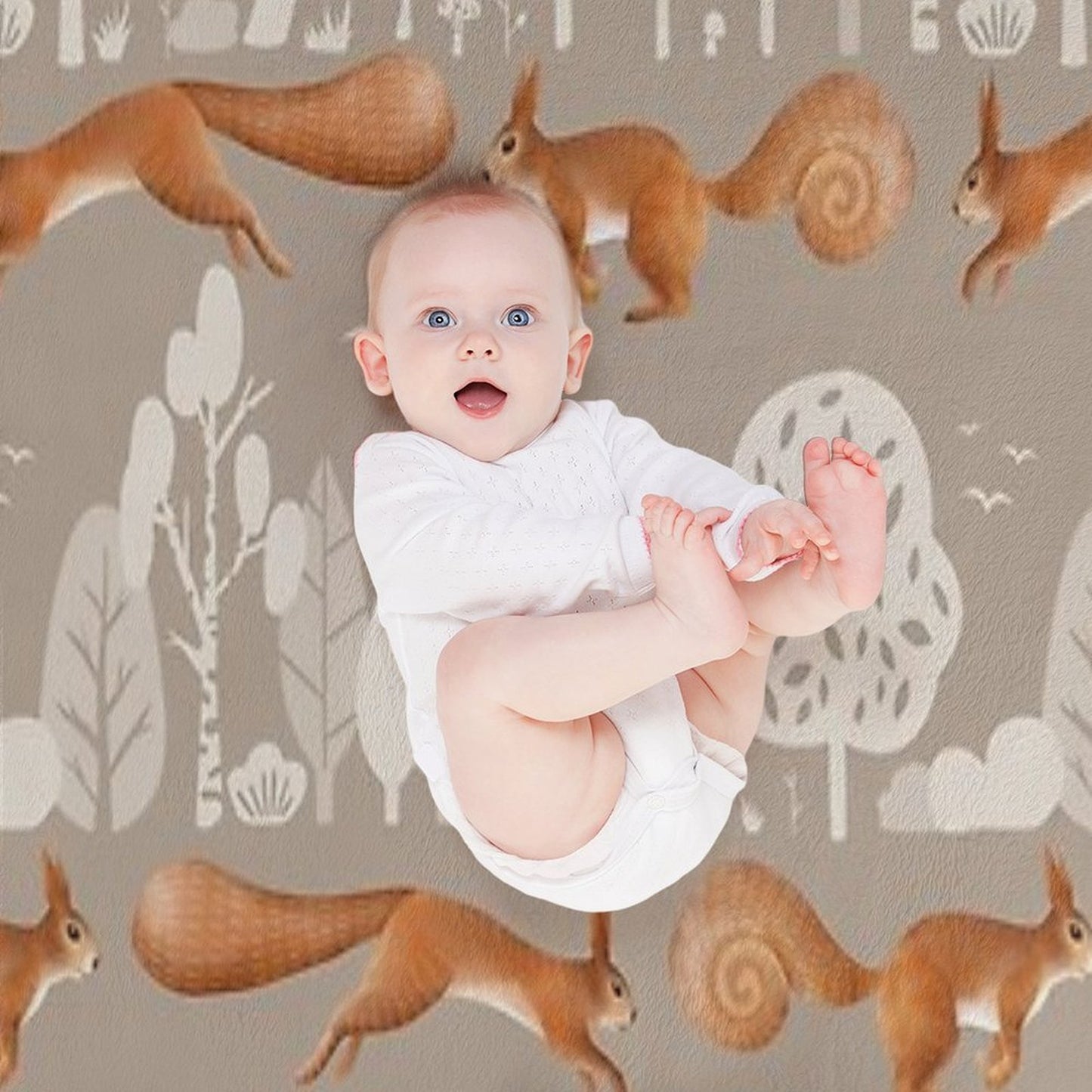 Cute Squirrel Throw Blanket